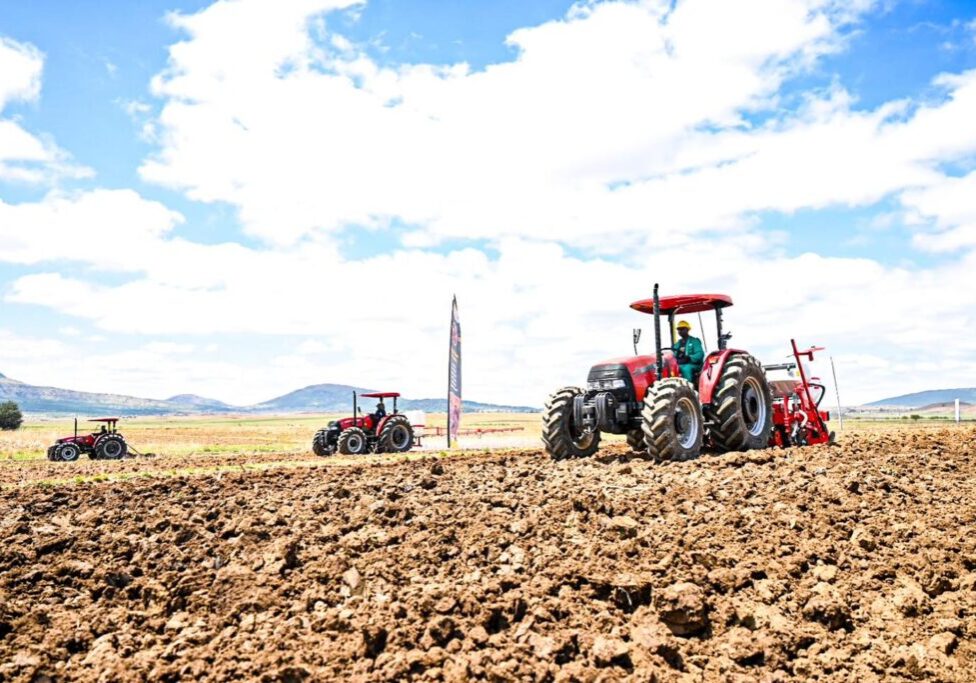 565593472_1191801829663440_3344568678033398316_n